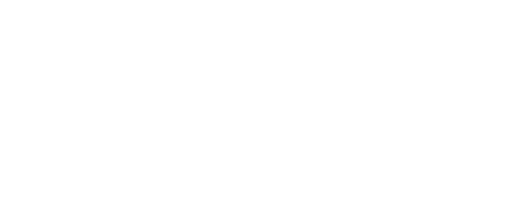Aksa Arms