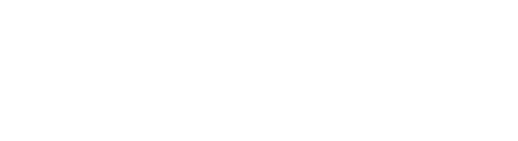 Holosun
