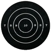 Champion Target 6-15 Metre Zamanlı NRA Yavaş Hedef Kağıdı (12 Adet)