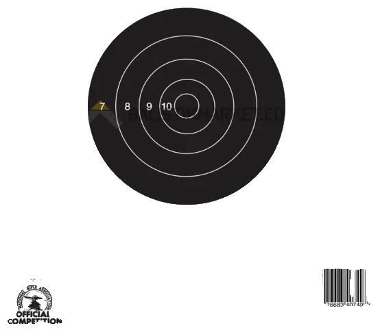 Champion Target 25 Metre NRA Yavaş Hedef Kağıdı (100 Adet)