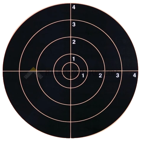Champion Target Visishot 100 Metre Hedef Kağıdı (10 Adet)